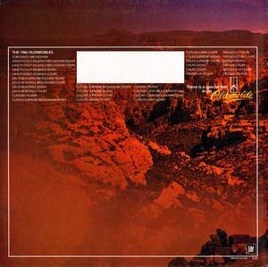 1986 Oldsmobile Firenza-12.jpg